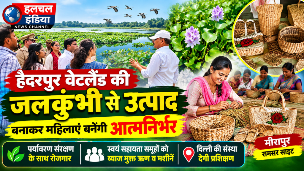 हैदरपुर वेटलैंड की जलकुंभी से उत्पाद बनाकर महिलाएं बनेंगी आत्मनिर्भर दिल्ली की संस्था सिखाएगी जलकुंभी से टोकरी बैग व चप्पल बनाना