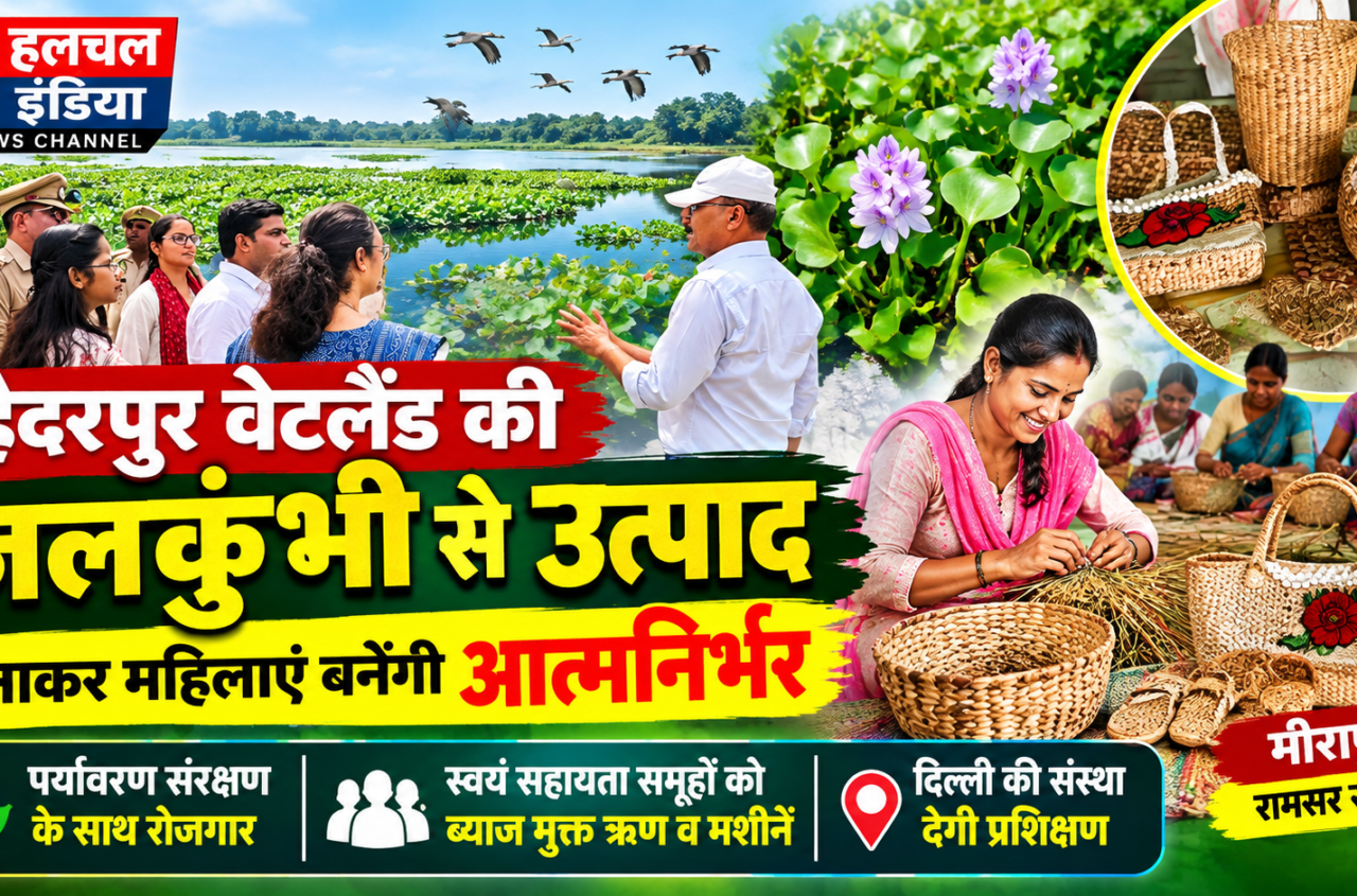हैदरपुर वेटलैंड की जलकुंभी से उत्पाद बनाकर महिलाएं बनेंगी आत्मनिर्भर दिल्ली की संस्था सिखाएगी जलकुंभी से टोकरी बैग व चप्पल बनाना