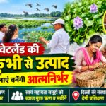 हैदरपुर वेटलैंड की जलकुंभी से उत्पाद बनाकर महिलाएं बनेंगी आत्मनिर्भर दिल्ली की संस्था सिखाएगी जलकुंभी से टोकरी बैग व चप्पल बनाना